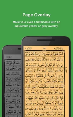 Holy Quran android App screenshot 4